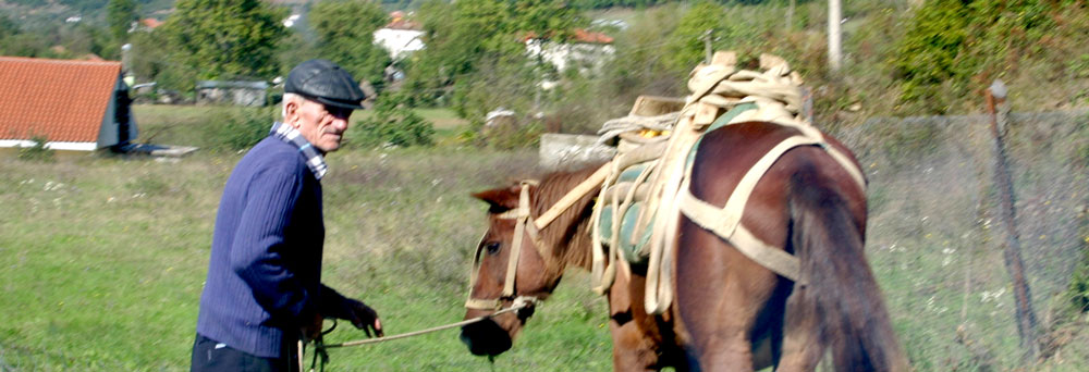 rural-albania
