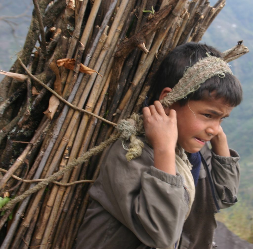 Nepal Boy Working